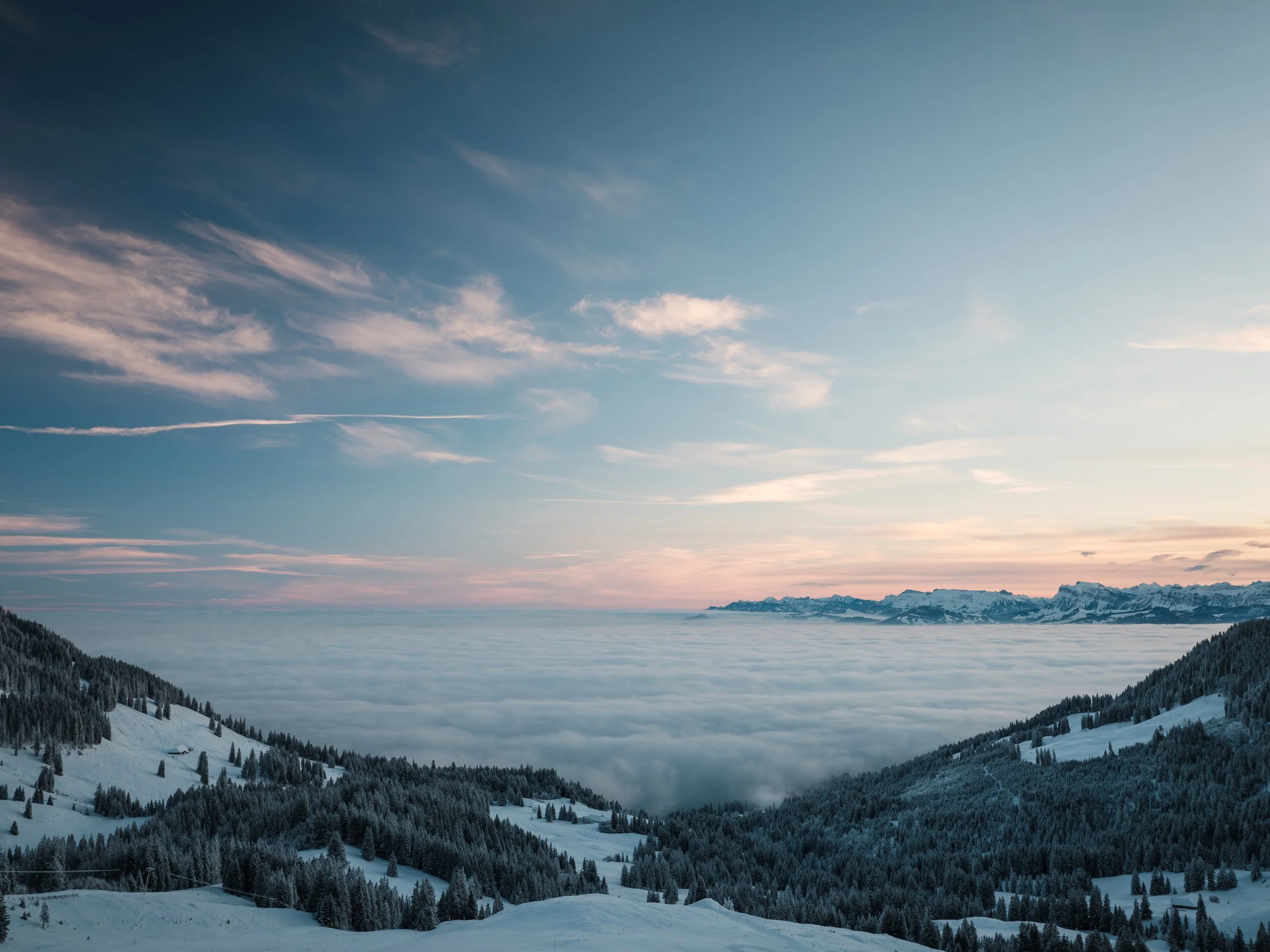 Schneebedeckte Berge und Tannen im Winter, über einer Wolkendecke mit blauen Himmel und einigen Wolken. Sonnenaufgang oder Sonnenuntergang im Hintergrund.